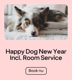 Happy Dog - Room & Room Service