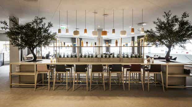Pitkä, katettu, yhteinen pöytä kahden bonsaipuun kera, Quality Airport Hotel Danissa